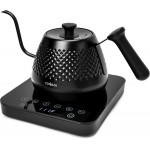 Hervidor eléctrico de cuello de cisne, control de temperatura variable y ajustes preestablecidos, hervidor de agua para café y té, hervidor de agua eléctrico de acero inoxidable, calentamiento rápido, hervidor de té negro, base de vidrio Hervidor eléctrico de cuello de cisne, control de temperatura variable y ajustes preestablecidos, hervidor de agua para café y té, hervidor de agua eléctrico de acero inoxidable, calentamiento rápido, hervidor de té negro, base de vidrio