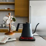 Baristan Hervidor eléctrico de cuello de cisne con control de temperatura preciso, hervidor de café y tetera, acero inoxidable, calentamiento rápido de 1200 W, 1 litro, negro mate Baristan Hervidor eléctrico de cuello de cisne con control de temperatura preciso, hervidor de café y tetera, acero inoxidable, calentamiento rápido de 1200 W, 1 litro, negro mate